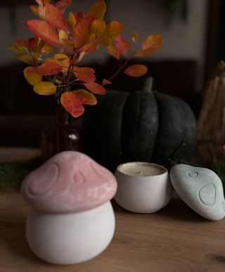 Zapálit svíčku - užívat si podzim 🍂🍁 Nově si můžete vybrat vůni svíčky v houbovém kalíšku. Odkaz na tuto svíčku v biu...